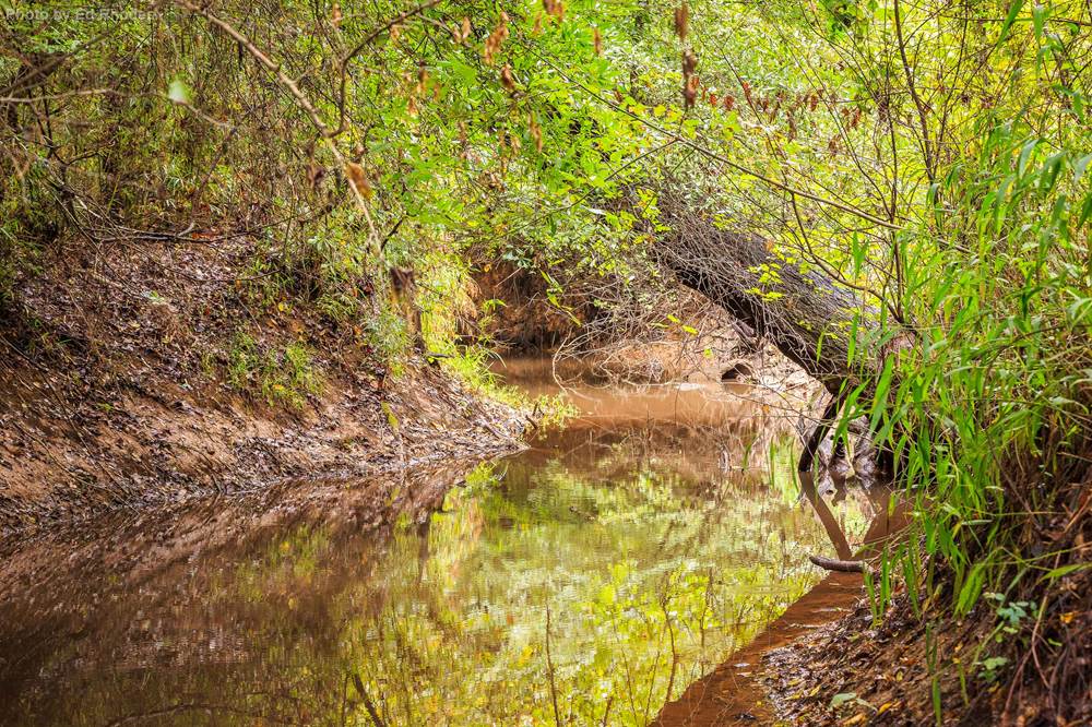 Angelina River
